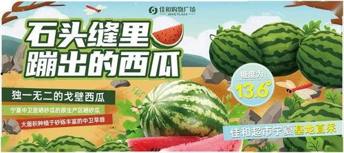 热门大瓜每日大赛,揭秘娱乐圈风云变幻,大赛精彩瞬间回顾