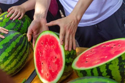 今日吃瓜全集完整版,揭秘娱乐圈幕后真相,带你领略明星们的真实生活