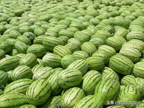 今日吃瓜热门大瓜每日更新,紧跟热门大瓜,揭秘娱乐圈最新动态